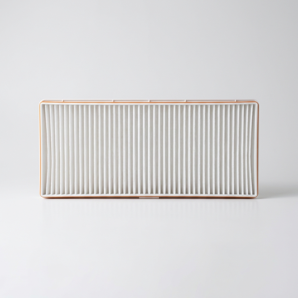 Replacement Filter (PM2.5)